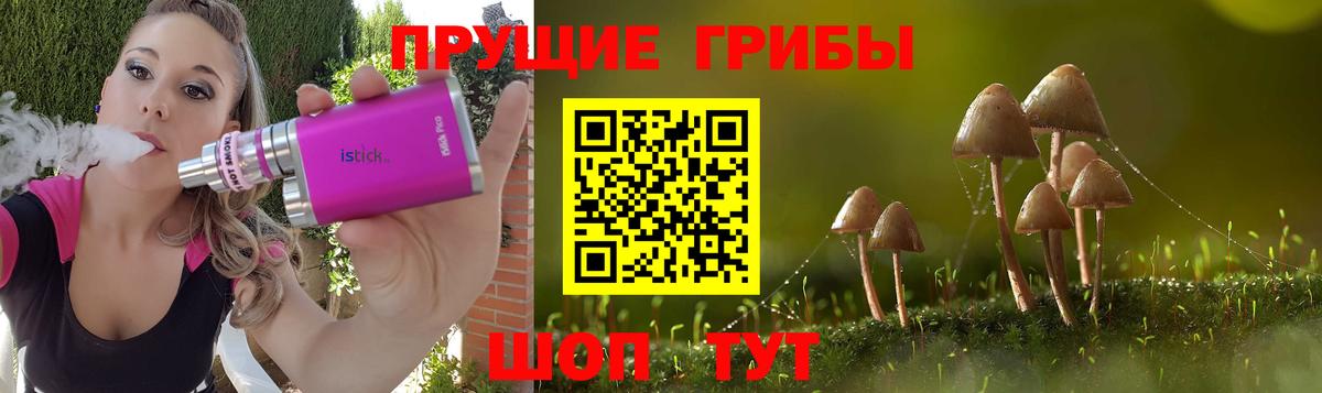 Псилоцибиновые грибы мухоморы Советская Гавань